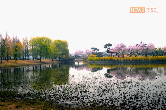 고양국제꽃박람회가 열리는 호수공원 전경.