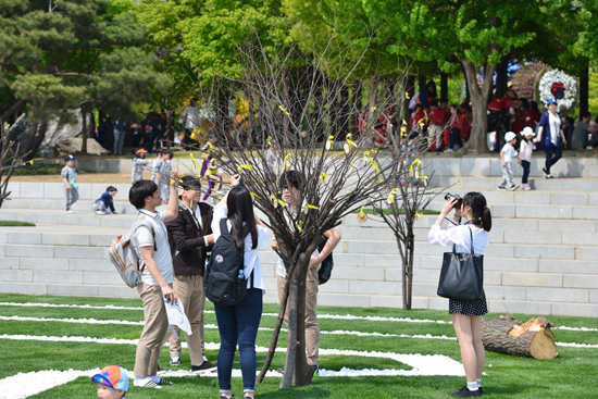 2014고양국제꽃박람회-희망나무에 노란리본 매다는 고등학생들