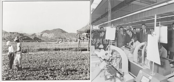 (왼)뚝섬 배추밭(1959),(오)모토로라 코리아 공장(1968, 광장동),  -출처『성수동; 장인, 천 번의 두들김』(2015) -